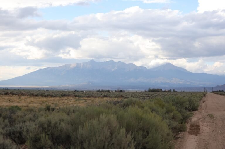 29c25736-fdf5-48c6-b302-1c9d6a3ff6cd_Blanca-MTN