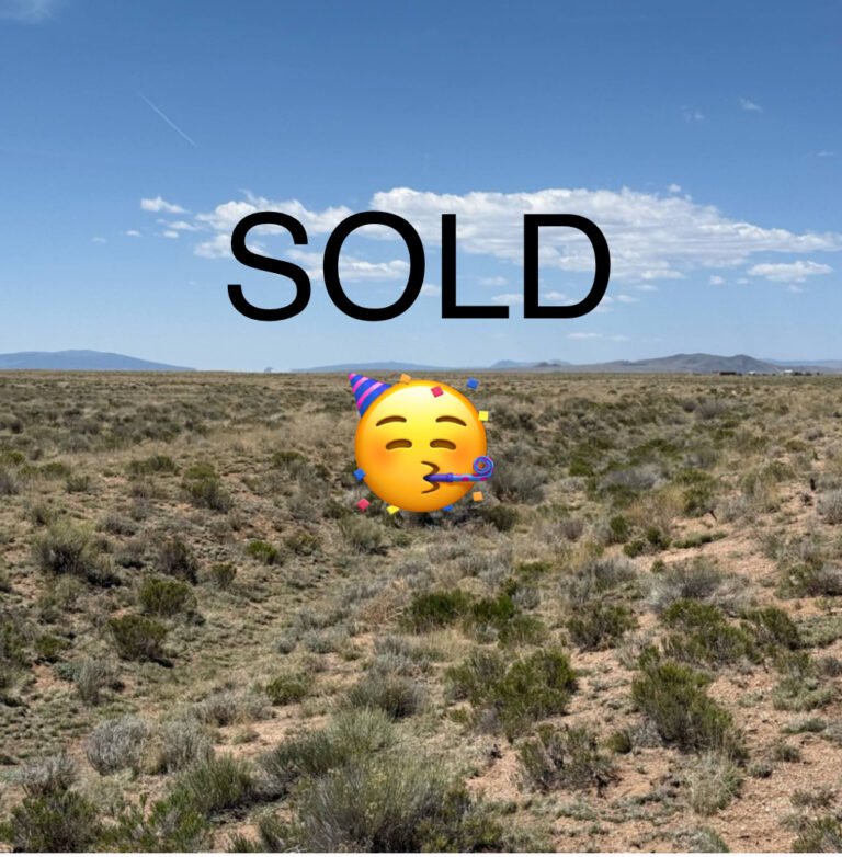 3bddb8da-49f8-4ecd-a24e-15c02089fa59_Wash-Land-Sold
