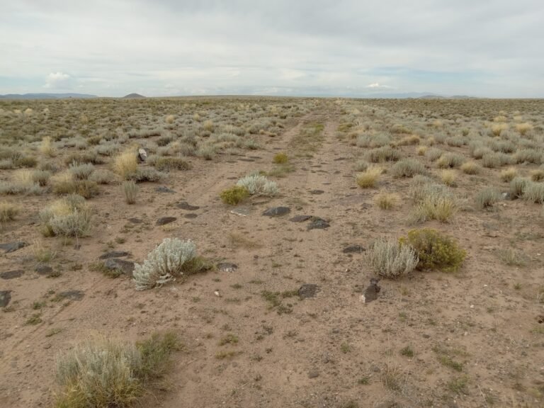 41314667-7b74-4dac-8c6d-1e10f59d7545_20250919_111752