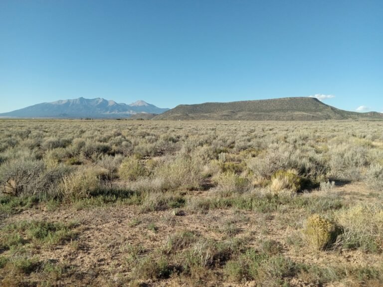 46ba786f-5051-482d-80d2-6b894068a180_20250918_170825