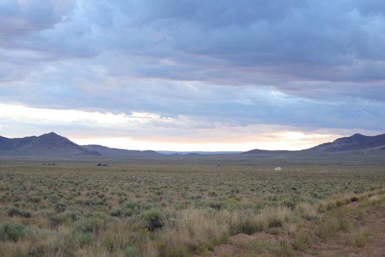 68bb0cda22e8c73175df7d7c