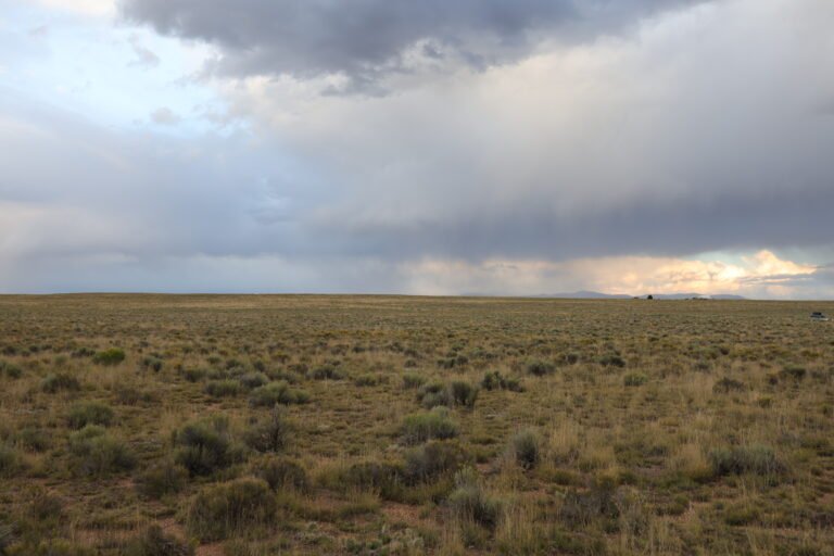 68bb0cda2398efed56cdd6d4