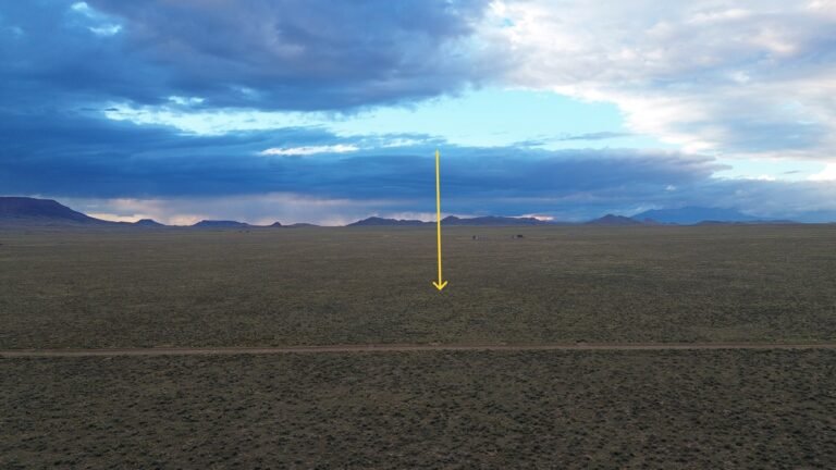 DCIM101MEDIADJI_0231