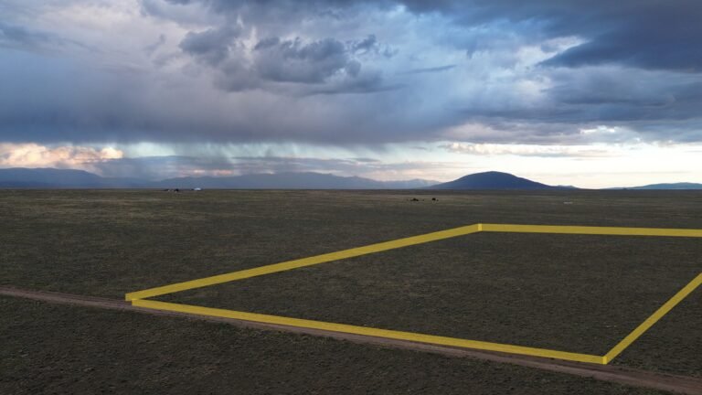 DCIM101MEDIADJI_0234