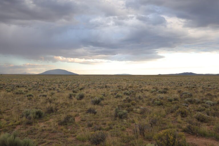 68bb0cda62a05fa2a77cea27