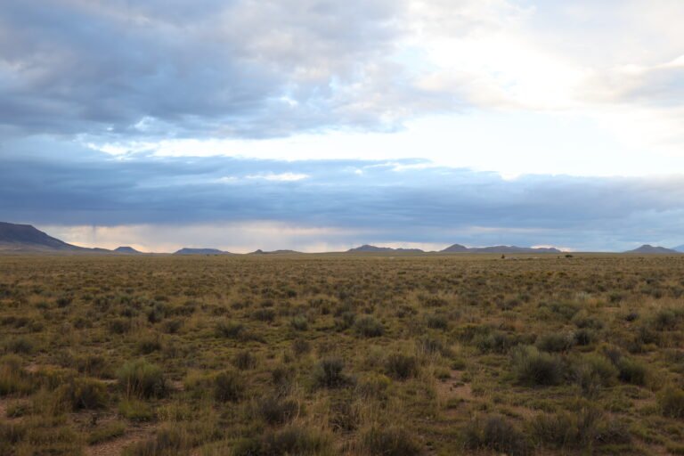 68bb0cdab1beeb7e832f268a