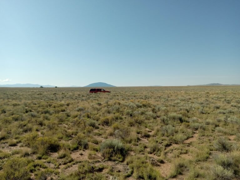 68bb0ecd47f24deb23ad96d0