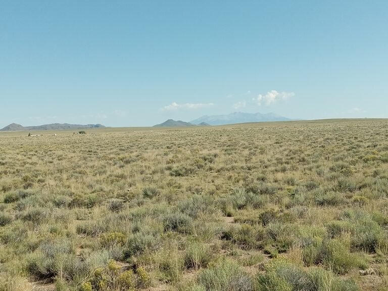 68bb0ecd561de13d5cfd6f4f