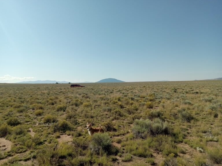 68bb0ecd561de13e14fd6f50