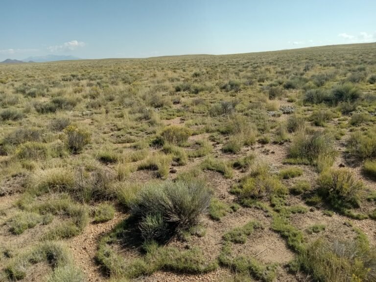 68bb0ecdaf0b9d801980613a