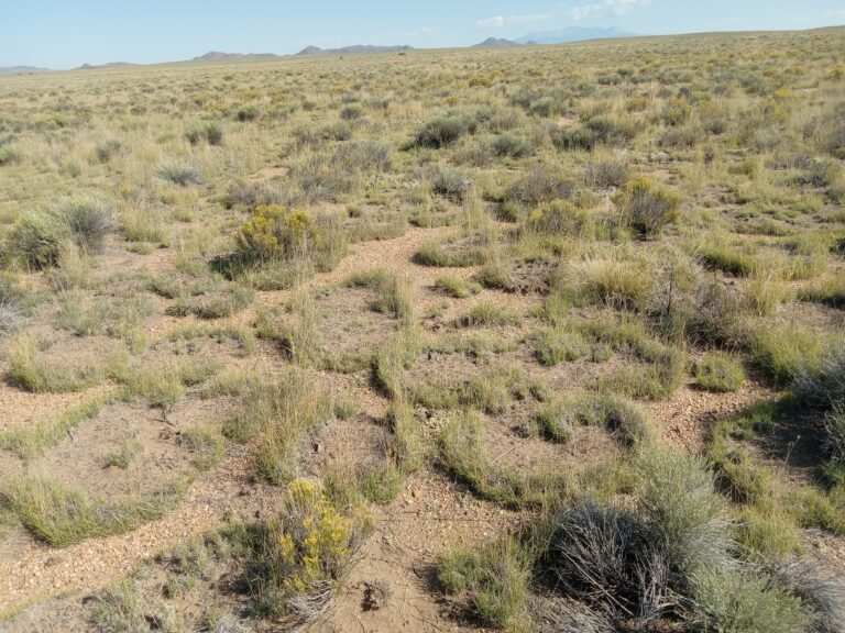 68bb0ecdb1beeb52a32f7350