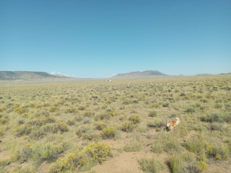 68bb0ecdf3b9972909e75f73