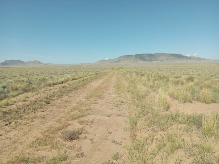 68bb0ecdf3b997365de75f6d