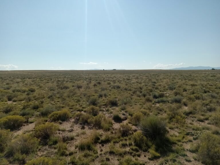 68bb0ecdf3b9979782e75f71