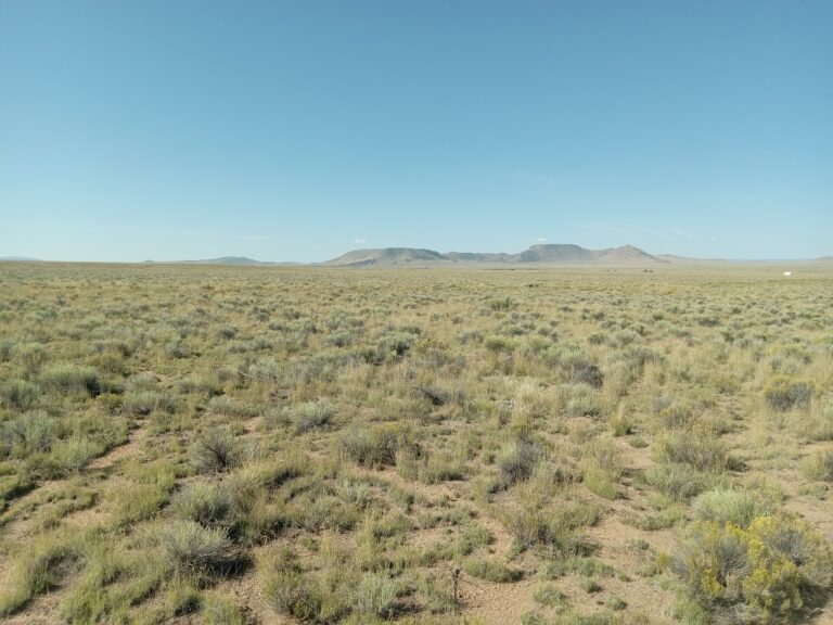 68bb0ecdf3b997a3f4e75f72