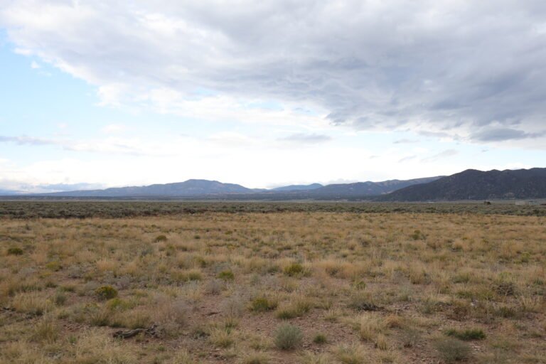 68bb112947f24d0456addf88