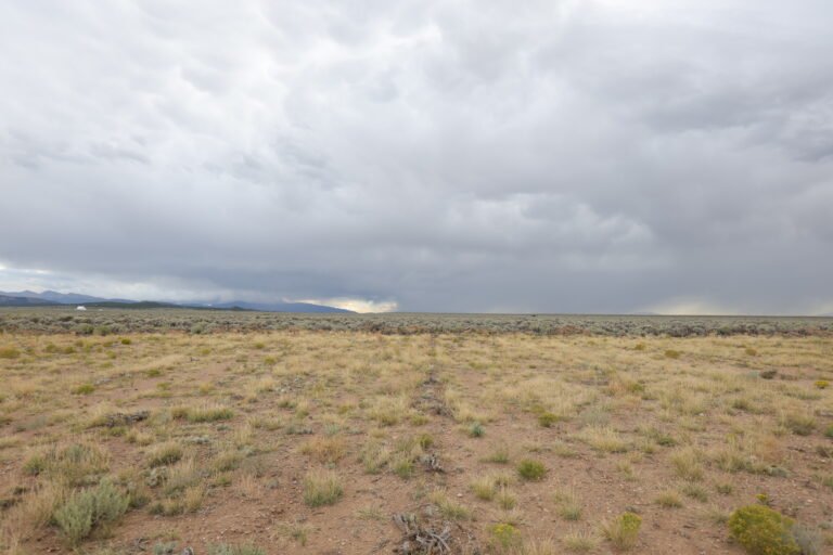 68bb112947f24d559caddf87