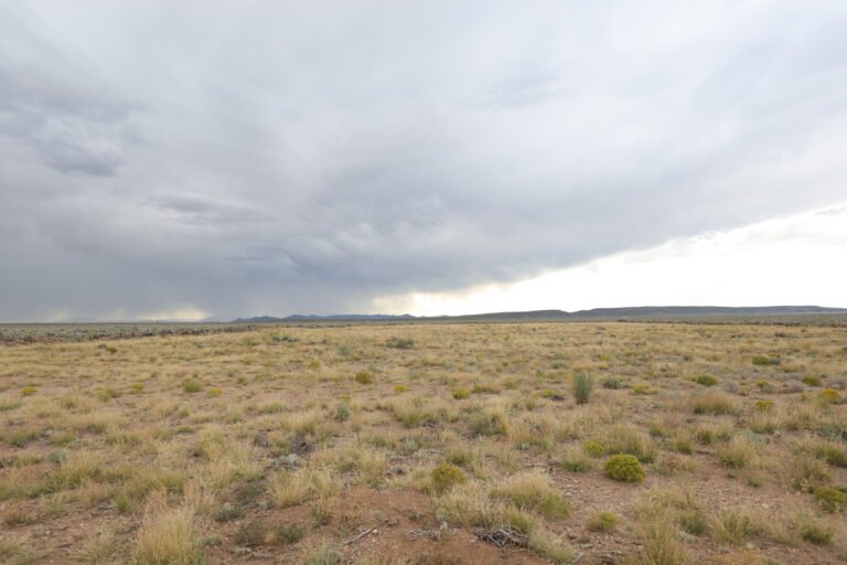 68bb112947f24dde22addf86