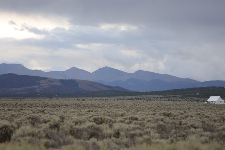 68bb1129561de13d3dfdbb83