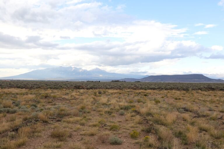 68bb112962a05fbbed7d81b2