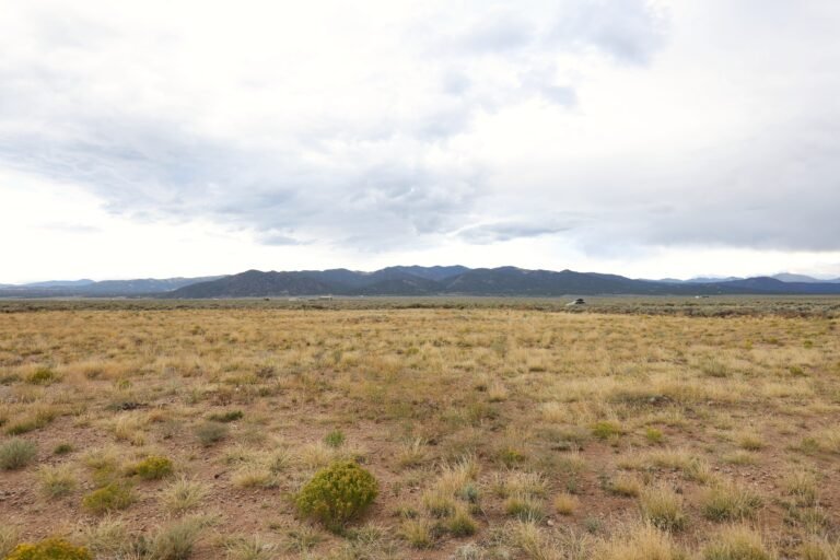 68bb1129f3b9971c70e7abfc