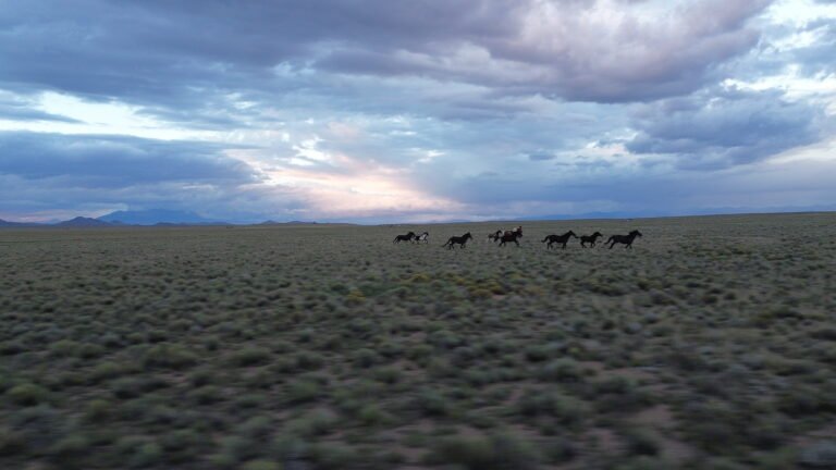 DCIM101MEDIADJI_0238