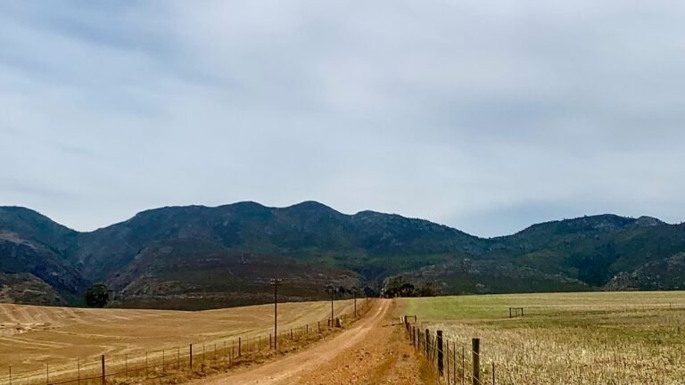 68d18243448d7bcd669767f8