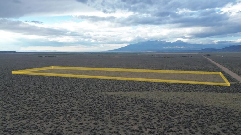 DCIM101MEDIADJI_0226