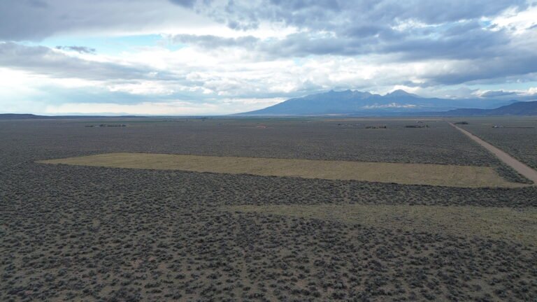 DCIM101MEDIADJI_0226