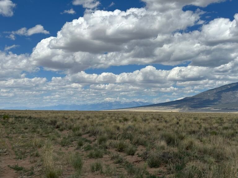 Three Parcels Mountain View