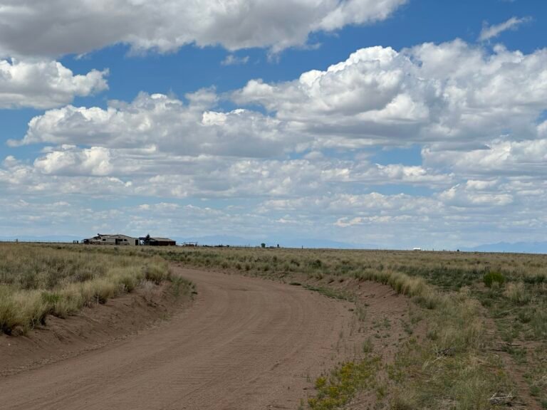 Three Parcels Road View