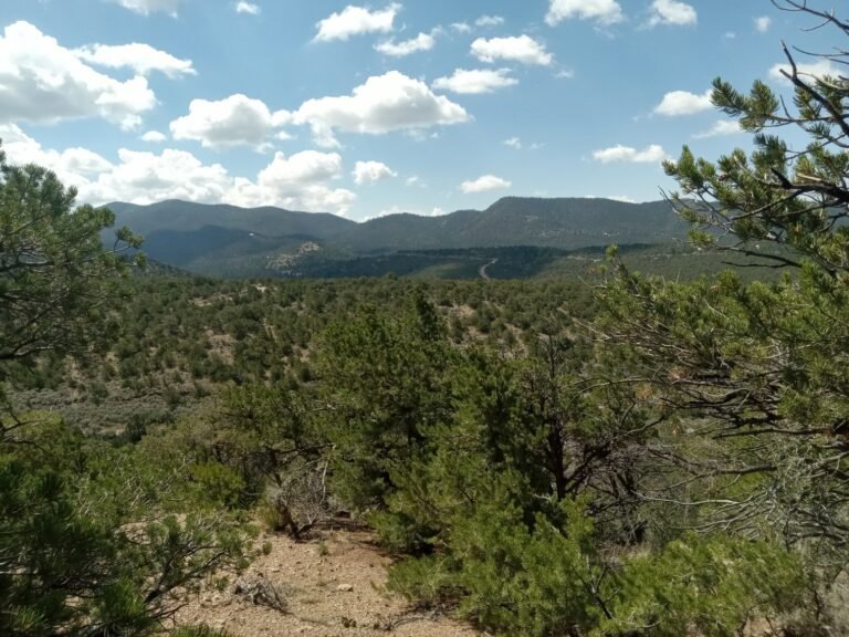 e68a987a-4918-44f3-992b-da9c2e24d5a5_20250823_114006