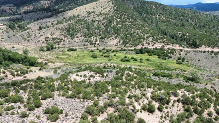 00a84ea4b81fb12a1a40d9afa789cabe