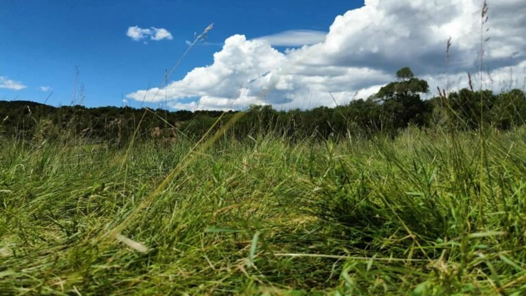 0b51463d413ca979bad5ac45d514be4e