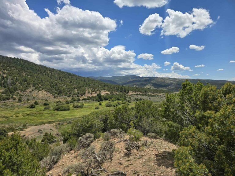 1c4138e4cdce6abc2106886dd6357b12