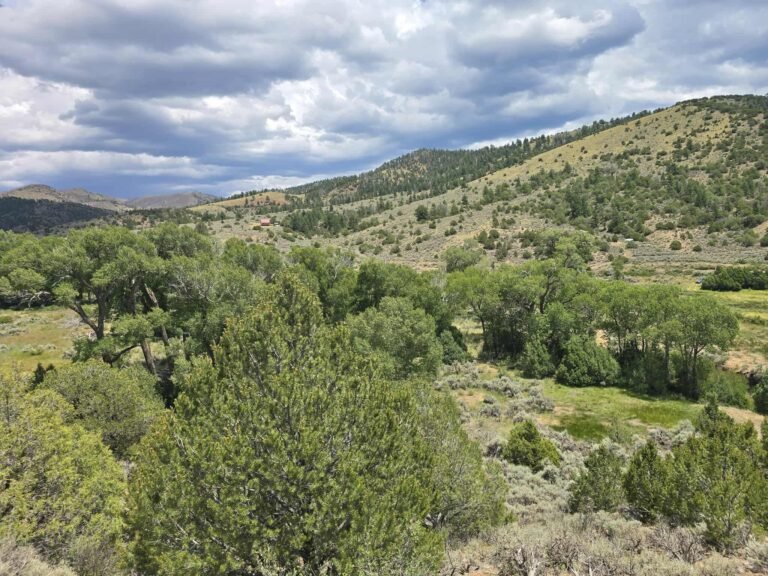 2ccb1828c7decc3371c551423d84fa36