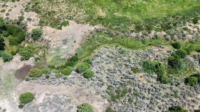 489c33eb420daf3210a1afa2f7dd519e