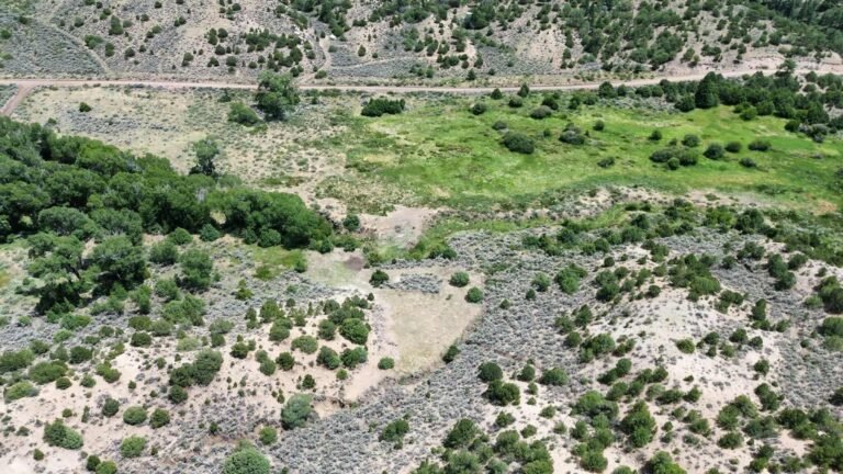 563539d0efaa8c52782158358ea558b7