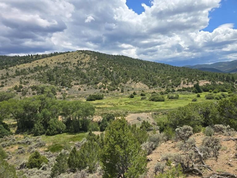 62fc1d2507b94838786489a68ac1797e