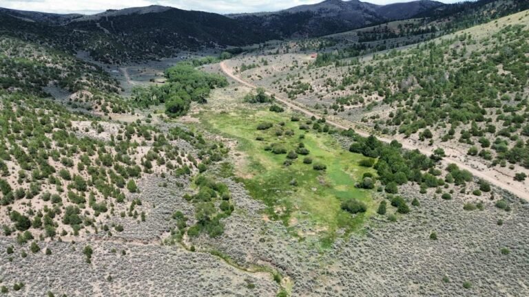 83dab734af654561db723da3b13eee93