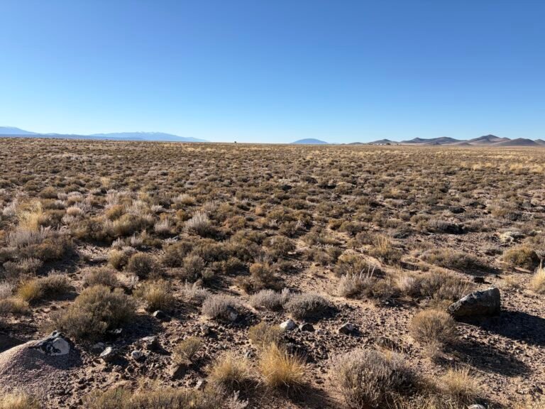 Long Range View Rocks