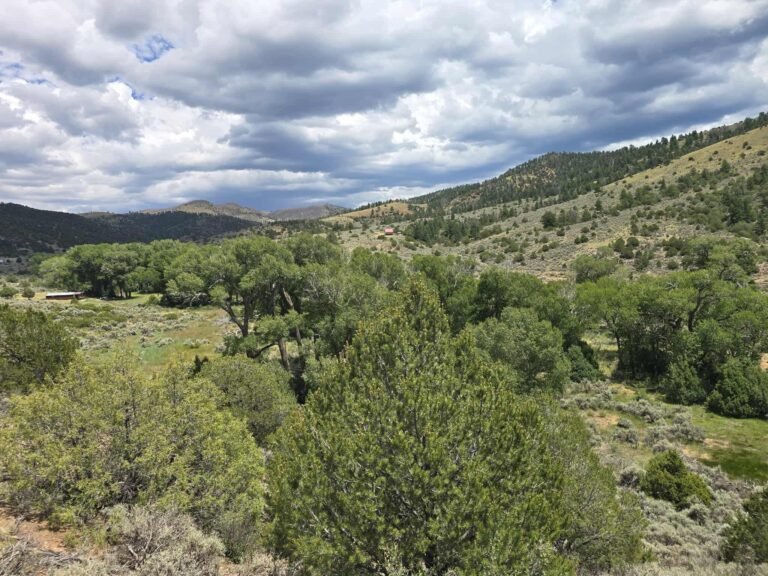 c16f45bca6342059d1875b3df97771de