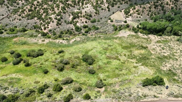 c4b615fbe99d36ba9b62a0bc790092a3