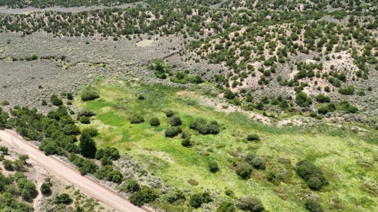 e2d17e7bc8d86d412290cff469f37b65 2