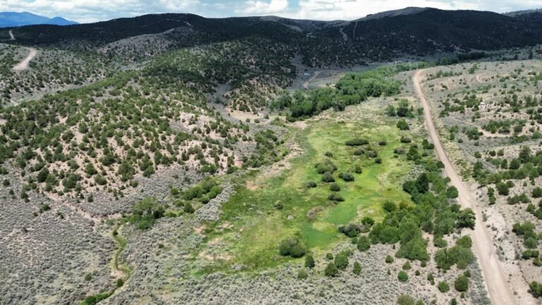 eff91c14a6c9bc0878c8d7b296bc9e1e