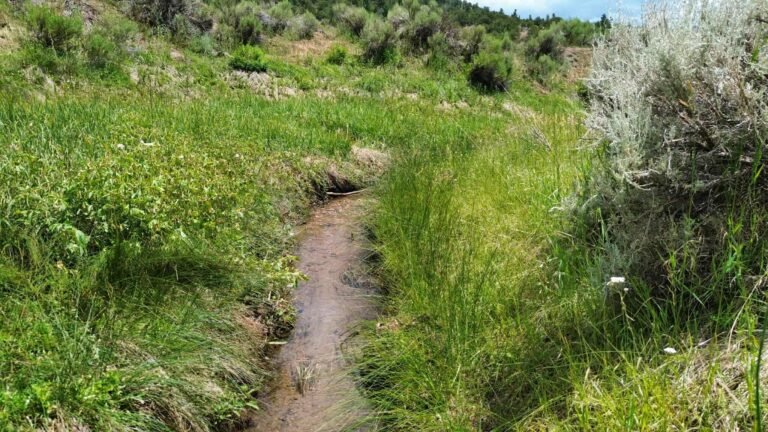 f2c54041d91107d7c533789b886747b5