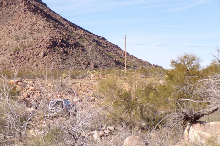 KODAK Digital Still Camera