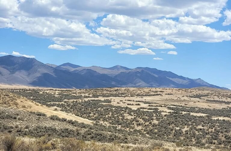 Pershing Co Buena Vista Valley