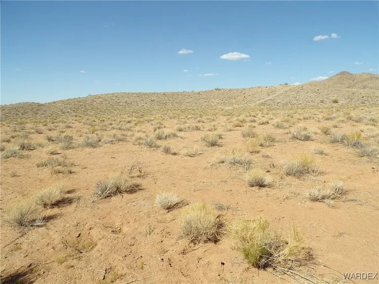 Kingman Parcel 10