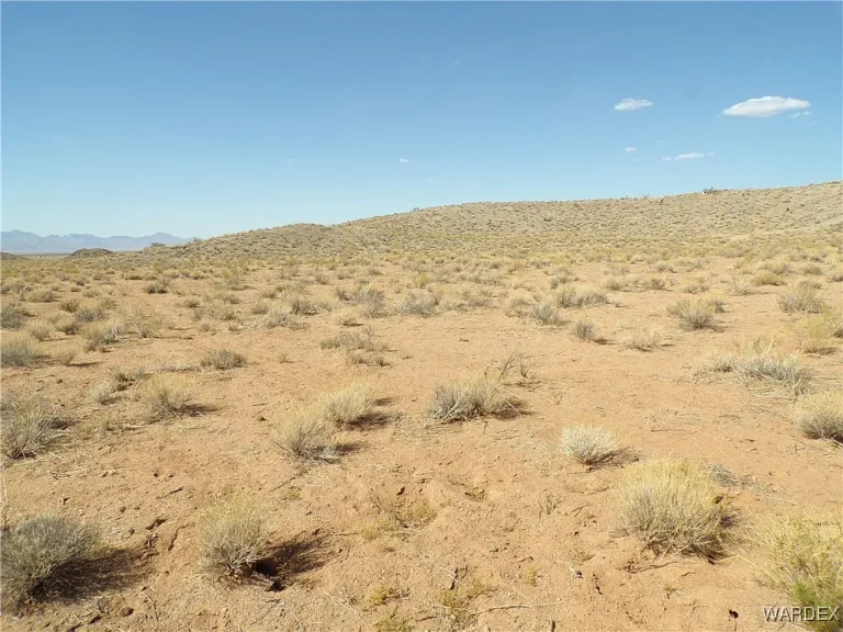 Kingman Parcel 11